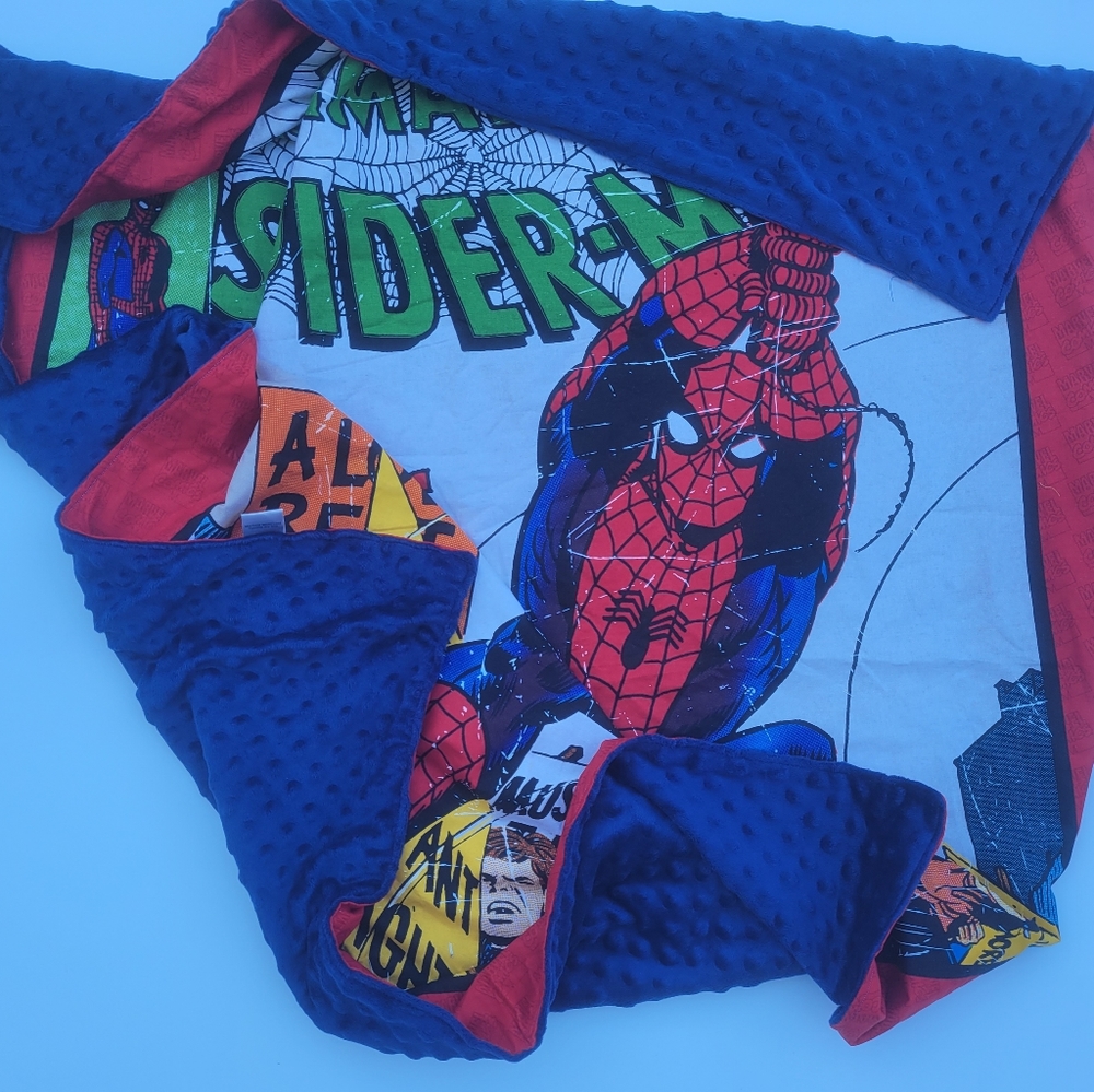 Spiderman Crisis on Campus panel blanket kids 36x44